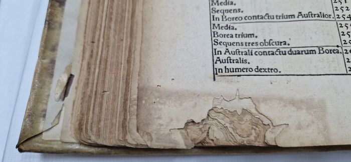 Zniszczenia kart, fot. J. Czuczko